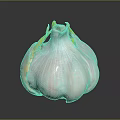 Fresh Garlic Bulb with Papery Skin and Green Shoots on Black Reflective Surface
