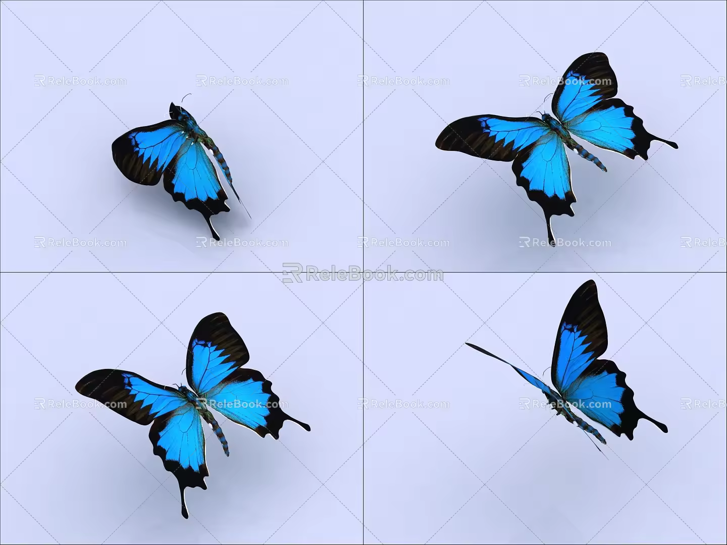 Butterfly Flying Butterfly with Animated Butterfly 3d model