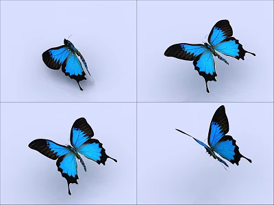 Blue Butterfly With Vibrant Blue Wings Displaying Different Flying Poses And Angles 3d model