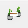 Bonsai Potted Cactus Plants In Gray Pots With Black Spots On White Background