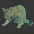 Orange Tabby Cat With Green Eyes And Pink Tongue On Dark Shiny Surface