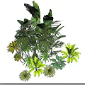 Indoor Plant Combination With Various Green Foliage And Different Leaf Shapes