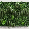 Indoor Living Plant Wall with Diverse Green Foliage and Lush Vegetation