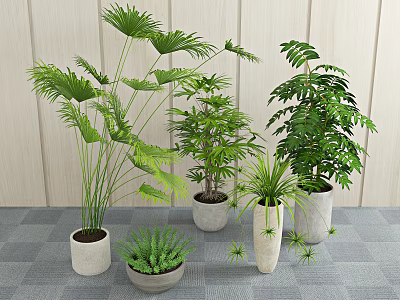 Various Bonsai and Potted Plants in Ceramic Pots Against Light Wooden Wall and Gray Floor 3d model