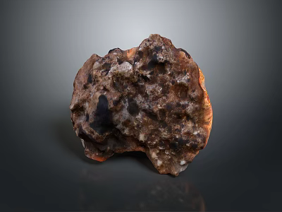 Unique Stone Wood Decorative Piece With Natural Rough Texture And Earthy Tones 3d model