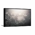 Framed Plant Painting On Wall With White Flowers And Soft Natural Light