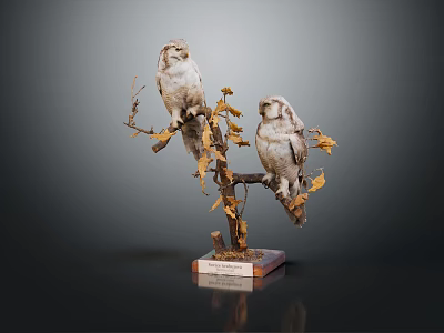 Perched Owls on Branch with Yellow Leaves and Wooden Base in Dark Background 3d model