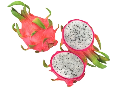 Modern Dragon Fruit model