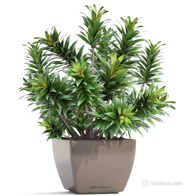 Lush Green Potted Plant With Multiple Branches And Square Beige Pot 3d model