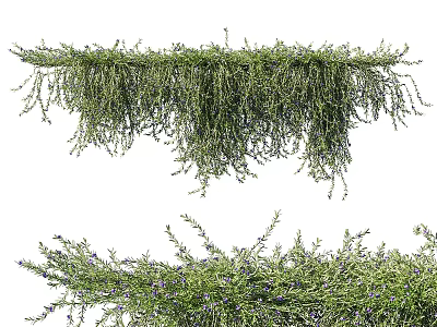 Lush Green Vines With Hanging Cascading Leaves And Purple Flowers 3d model