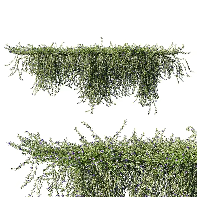 Lush Green Vines With Hanging Cascading Leaves And Purple Flowers 3d model