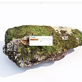 Mossy Natural Stone And Rustic Wood With Organic Texture For Decorative Design