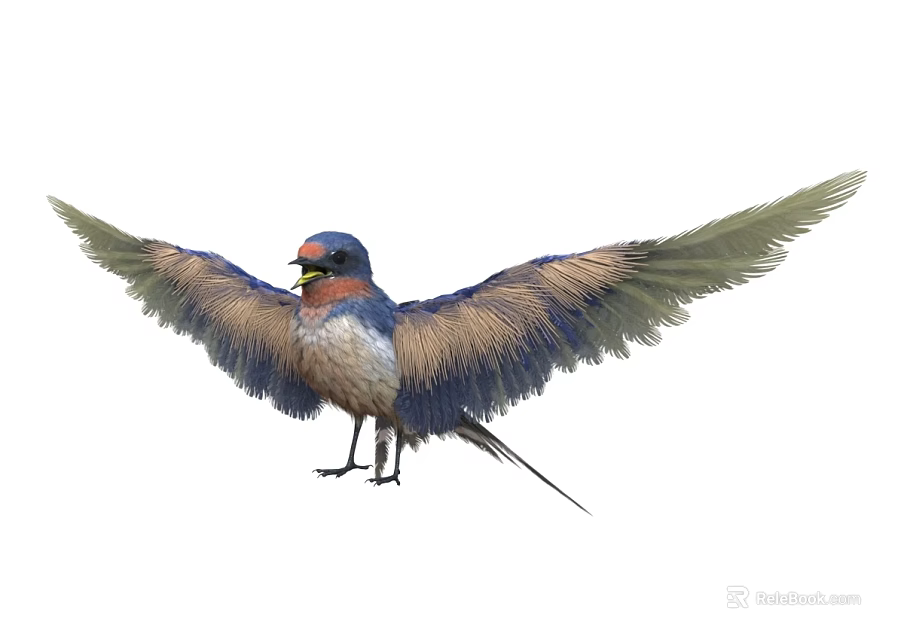 Colorful Bird With Spread Wings Blue Head Red Chest And Brown Feathers 3d model 