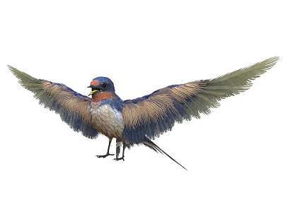 Colorful Bird With Spread Wings Blue Head Red Chest And Brown Feathers 3d model