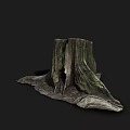 Natural Wooden Tree Stump With Rough Texture On Dark Background