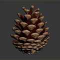 Red Brown Layered Pine Cone Shaped Dessert On Dark Background Surface