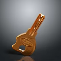 Shiny Golden Door Key With DOOR Engraving And Metallic Surface Design