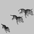 Three Fierce Cartoon Wolf 3D Models With Red Eyes And Gray White Fur