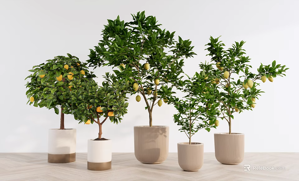 Bonsai Potted Plants With Green Leaves And Yellow Fruits In Various Ceramic Pots 3d model 