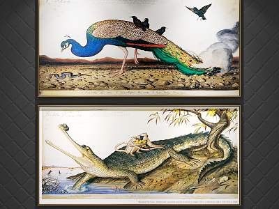 Modern Animal Painting Animal Depictions Decorative Painting model