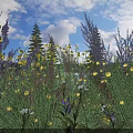 Colorful Flowers and Plants in Meadow With Yellow Purple Blooms and Blue Sky
