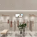 Modern Shopping Mall Clothing Counter With Mannequins Display Racks And Green Plants