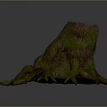 Natural Wood Stone Stump With Green Moss And Extended Tree Roots