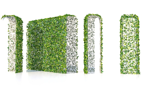 Plant Grass Wall Scene 3d model