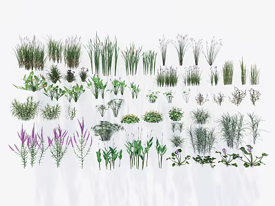 Various Types of Garden Flowers and Plants With Different Leaf Shapes and Colors 3d model