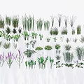 Various Types of Garden Flowers and Plants With Different Leaf Shapes and Colors