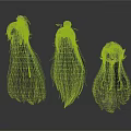 3D Long Gray Hair Models With Different Angles And Hair Accessories