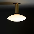 Modern Elegant Ceiling Light With Brass Frame And White Glass Dome Shade 3d model