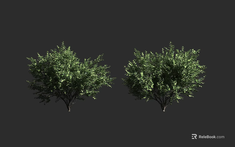 Healthy Lush Green Shrubs With Dense Foliage For Outdoor Garden Landscaping 3d model 