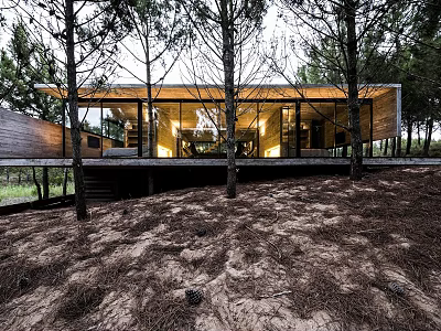 Modern Detached Villa Featuring Glass Facade Wooden Structure And Tree Surrounded Design 3d model