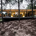 Modern Detached Villa Featuring Glass Facade Wooden Structure And Tree Surrounded Design