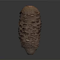 Detailed Organ Structure With Hair Like Protrusions And Natural Textured Surface