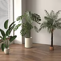 Three Different Indoor Potted Plants By Window With Blinds On Wooden Floor And White Wall