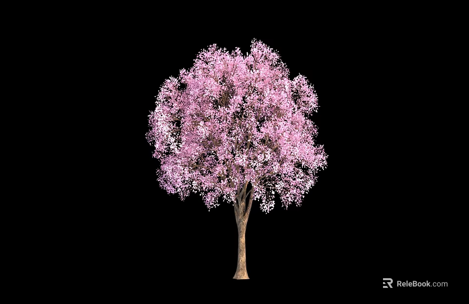 Beautiful Pink Flowering Tree with Lush Blooms Isolated on Black Background 3d model 