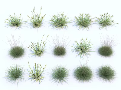 Various Types of 3D Rendered Grass Tufts with Different Shapes and Sizes 3d model