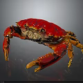 Vibrant Red Crab With Detailed Claws And Shiny Shell Isolated On Black Surface