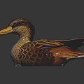 Decorative Duck Figurine With Colorful Feather Details And Yellow Beak On Black Background With Reflection