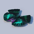 Vibrant Green And Purple Butterfly With Iridescent Spread Wings On White Background