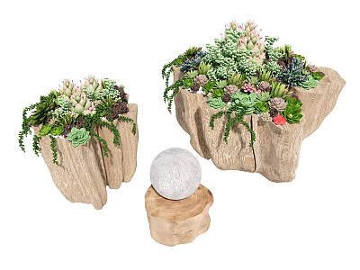 Natural Stump Shaped Wooden Tea Tables Decorated with Succulents and Green Plants 3d model
