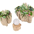 Natural Stump Shaped Wooden Tea Tables Decorated with Succulents and Green Plants
