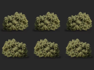 Multiple Green Bushes with Lush Foliage Arranged in Rows on Dark Background 3d model