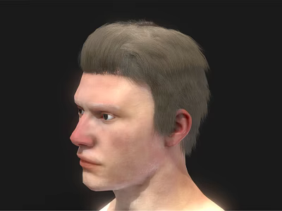 Character And Creature 3D Model Male Head Side Profile Gray Short Hair Black Background 3d model