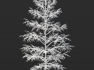 Arbor 3D Model With Detailed Branch Structure And White Outline On Black Background 3d model
