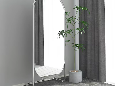 Floor Mirror in Modern Room with Tall Green Plant and Gray Curtains 3d model