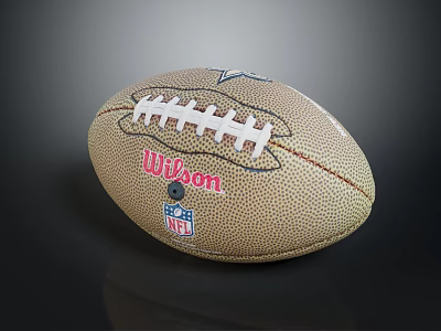 Wilson NFL Dallas Cowboys Official American Football Sports Equipment 3d model