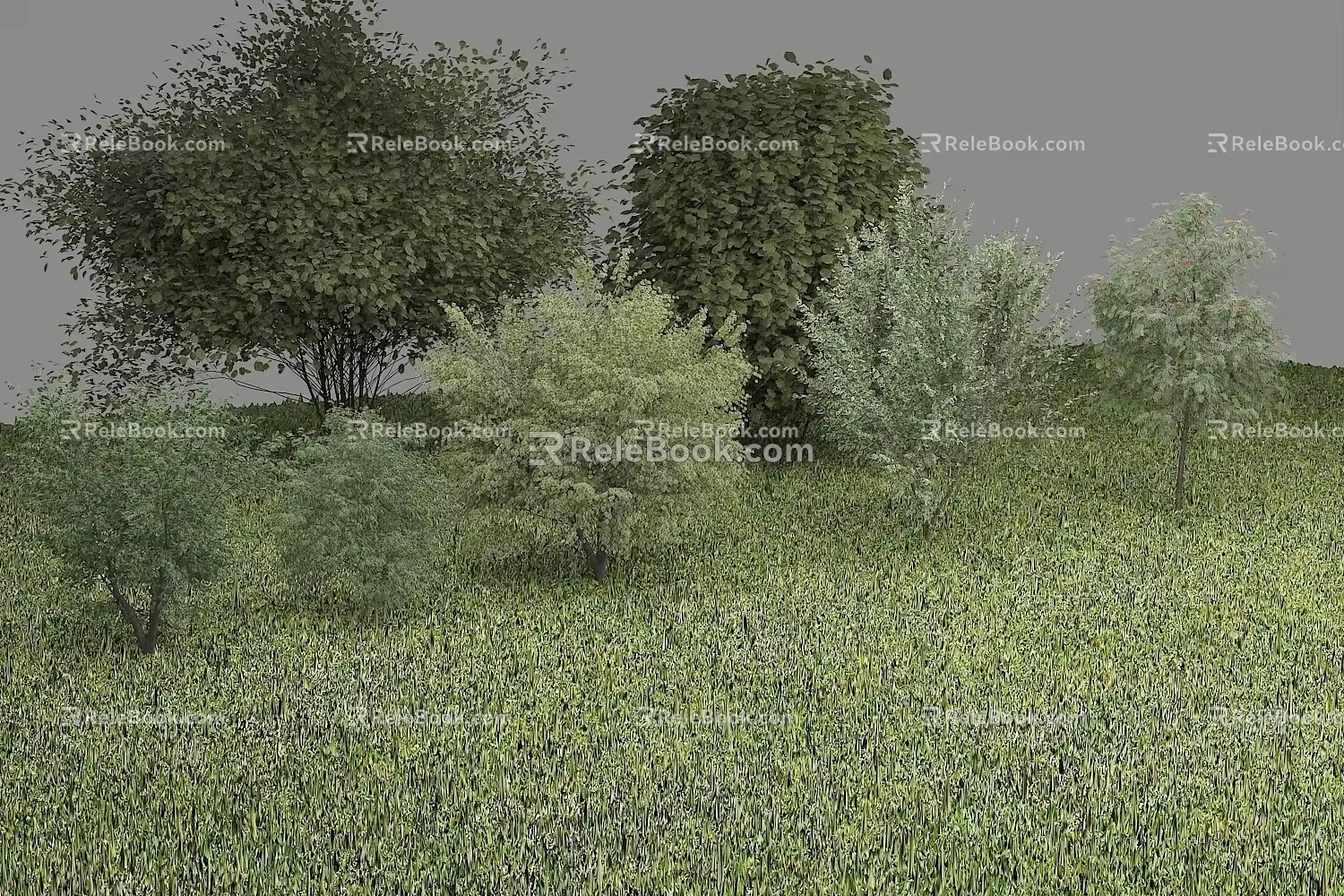 Trees Landscape Trees 3d model